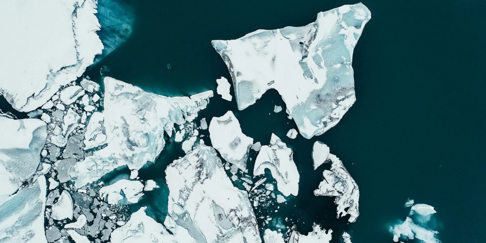 "Climate Change Litigation banner" 
