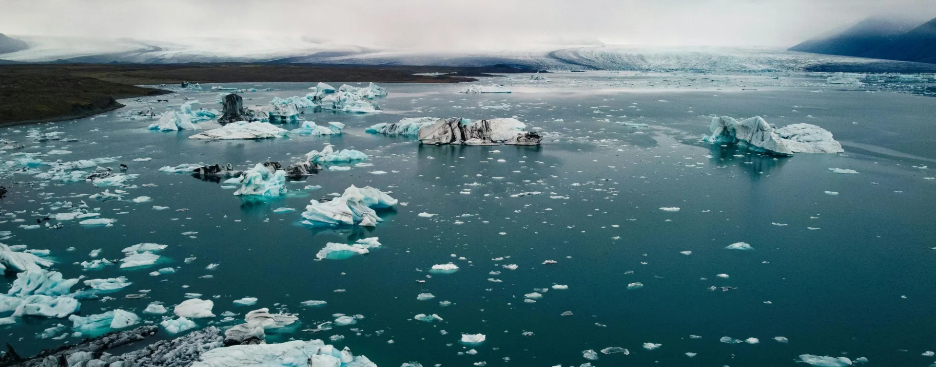 "sea ice"