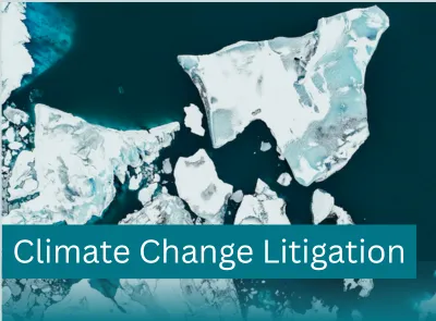 "Climate Change Litigation" 