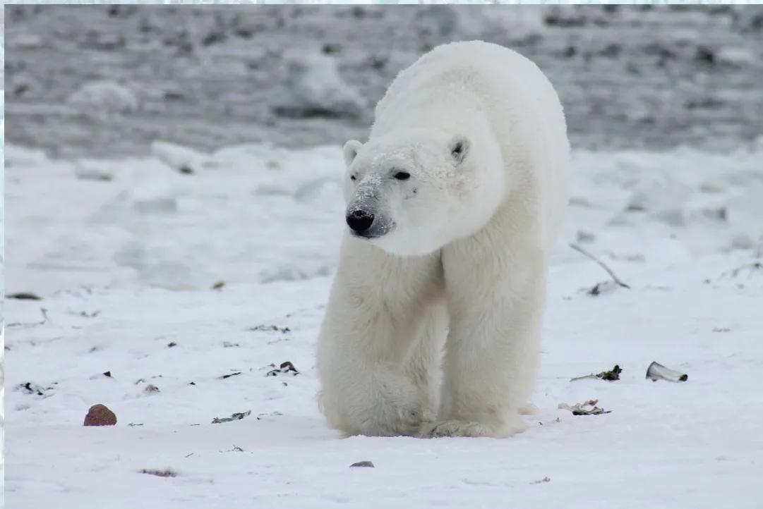 "climate law & Science" 