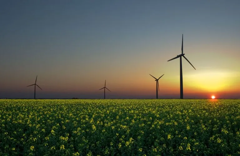 Image Energy Program 768x500.jpg