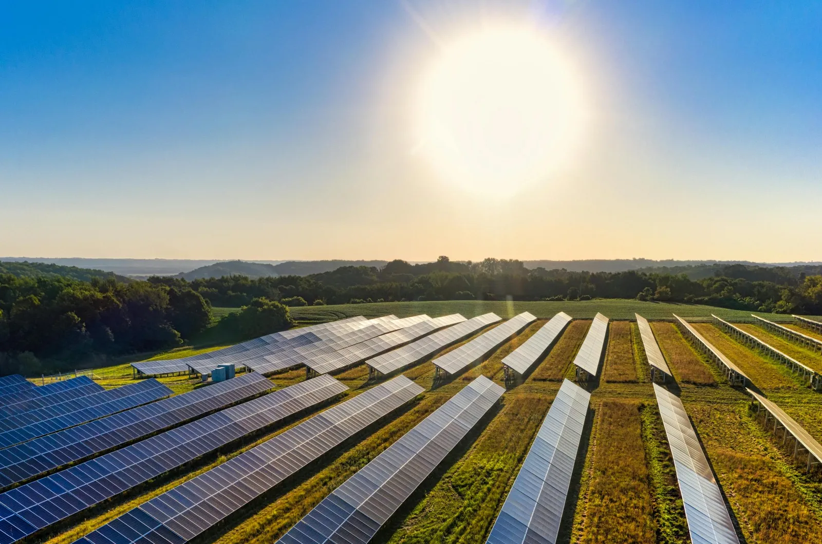 "solar farms"